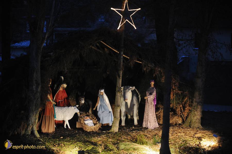 Nom de l'image : D30039547_1_(c)Norbert-JUNG — Description :